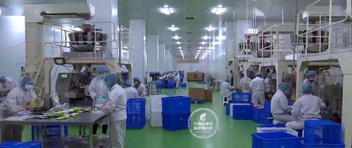 24小時無死角消毒，大同國際陸港嚴把進出口食品安全關